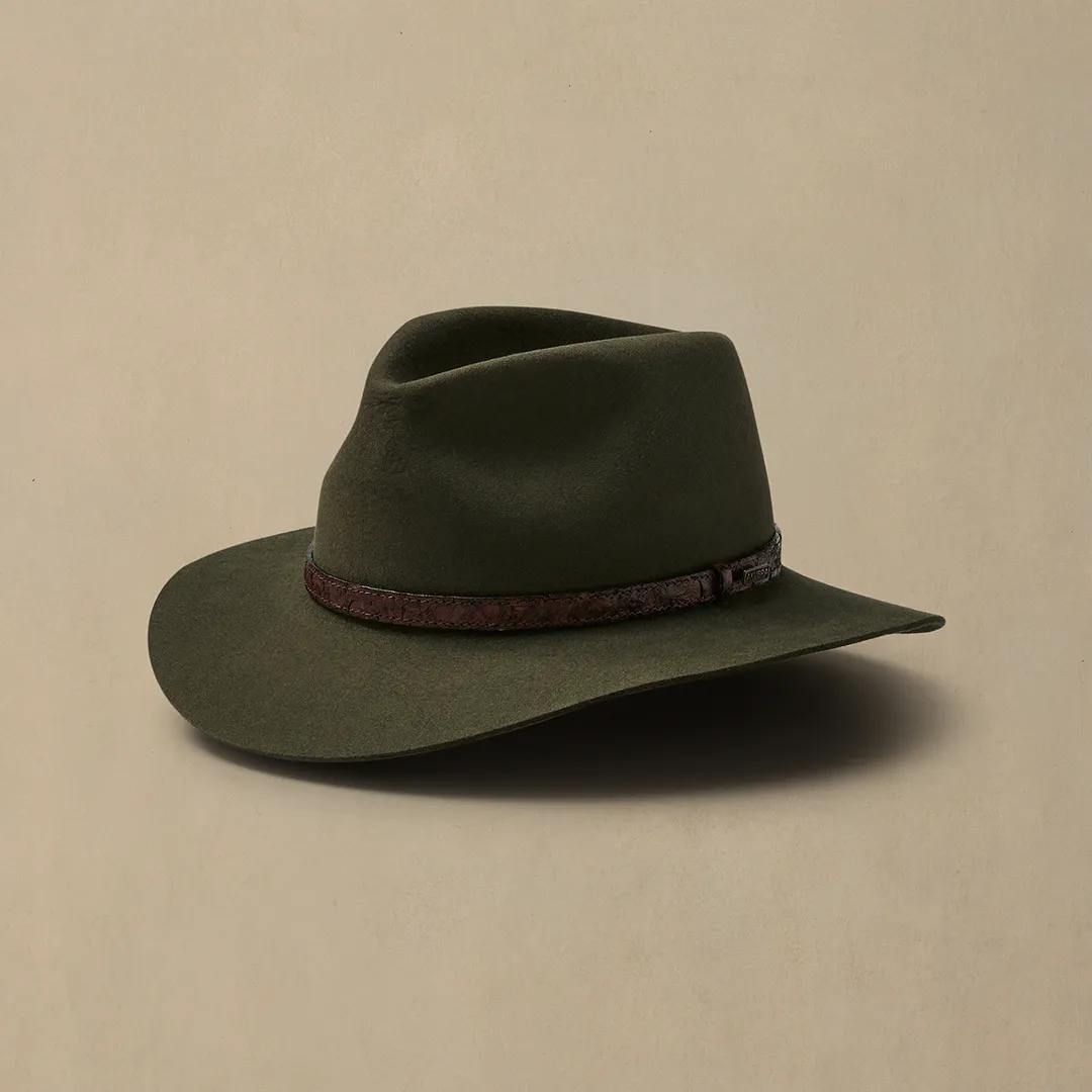 Banjo Paterson Fern
