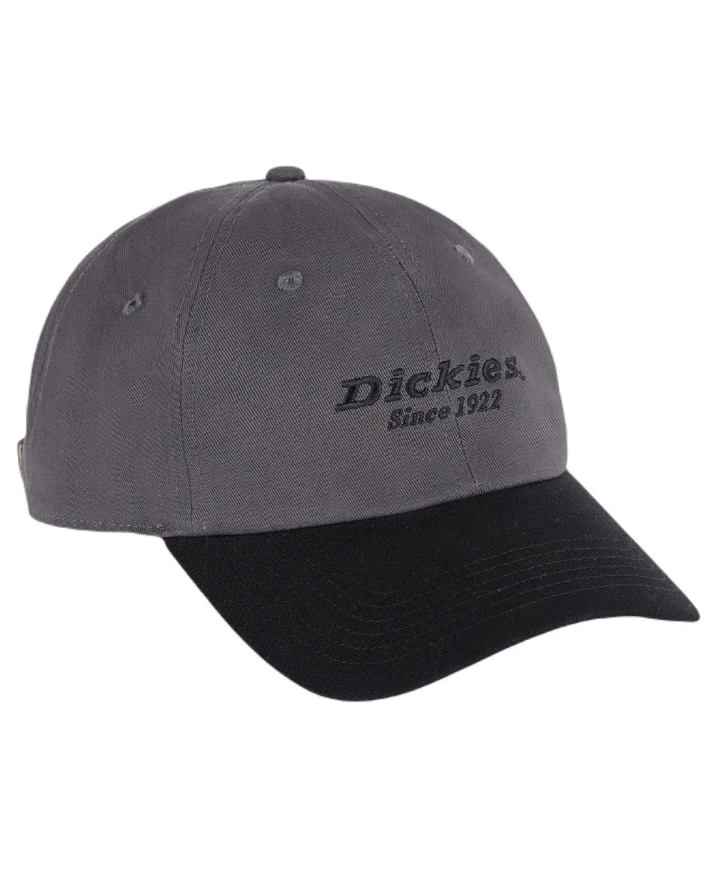 Dickies Everyday Twill Cotton Cap