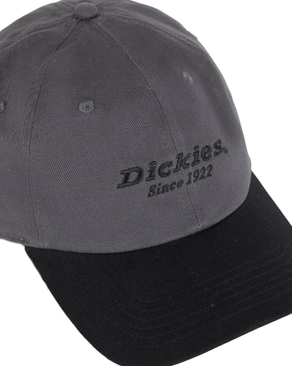 Dickies Everyday Twill Cotton Cap