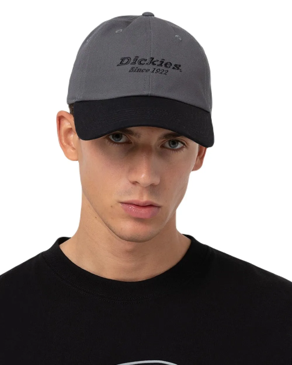 Dickies Everyday Twill Cotton Cap