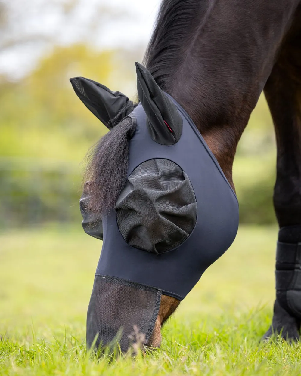 LeMieux Bug Relief Full Mask