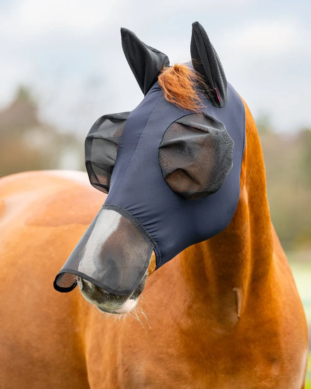 LeMieux Bug Relief Full Mask