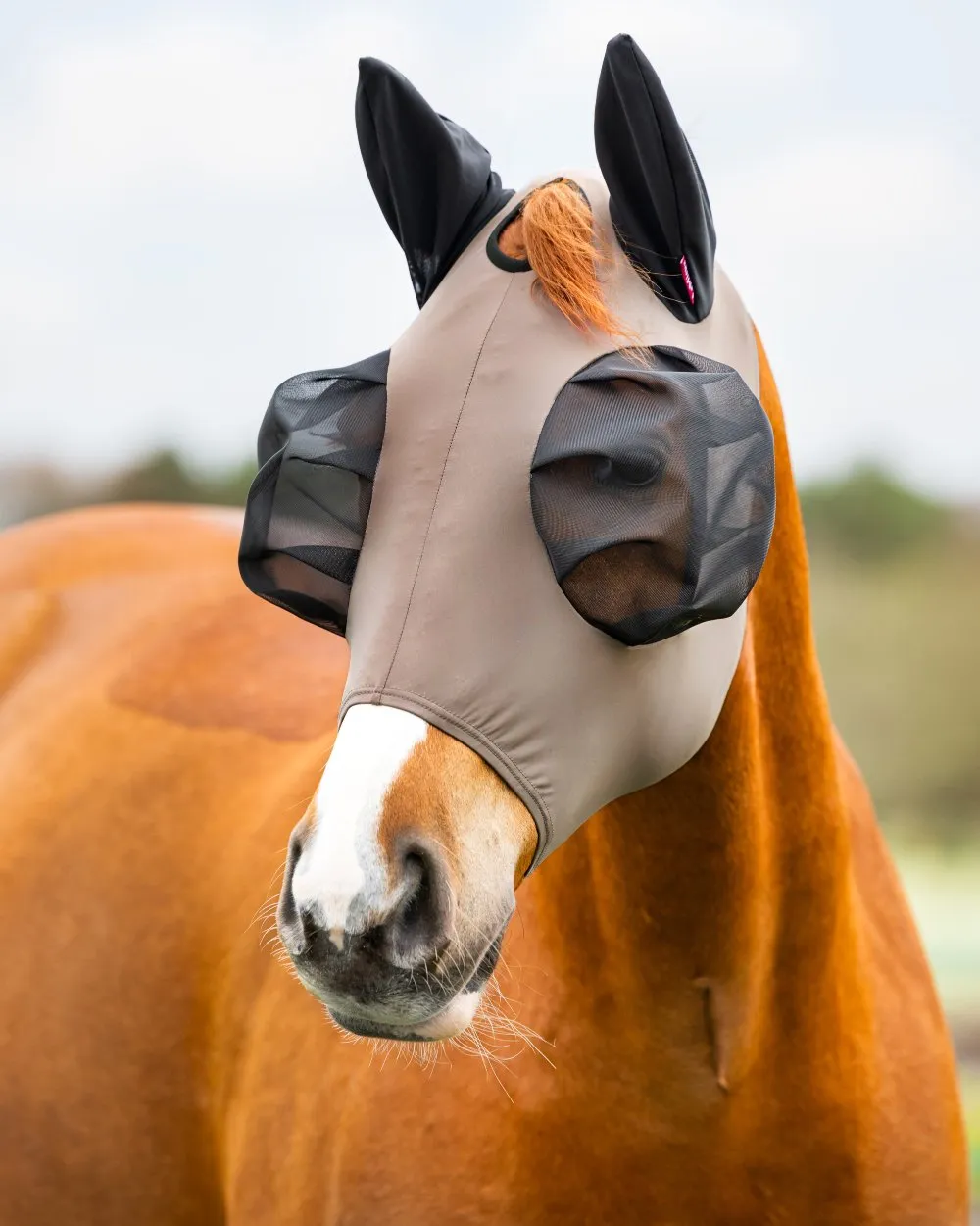 LeMieux Bug Relief Half Mask
